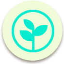 ecosystem-icon.png